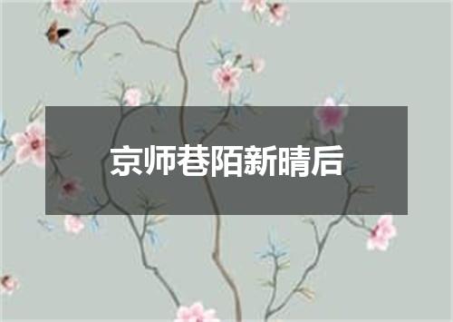 京师巷陌新晴后
