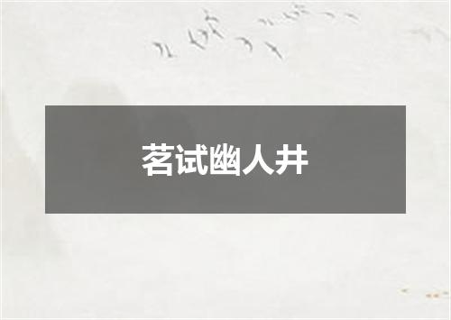 茗试幽人井