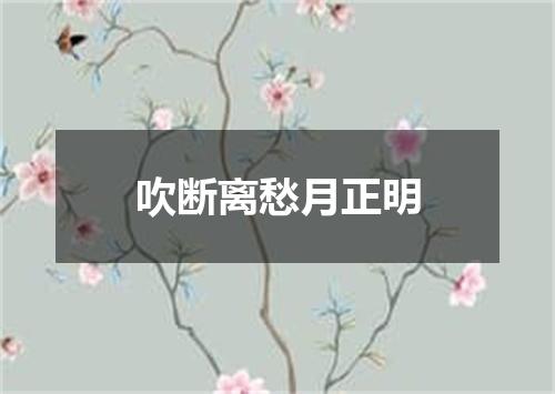 吹断离愁月正明