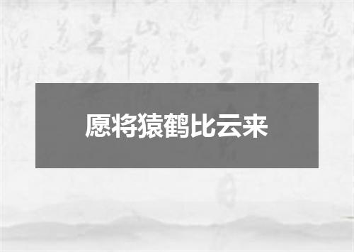 愿将猿鹤比云来