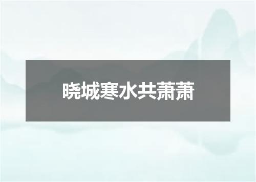 晓城寒水共萧萧
