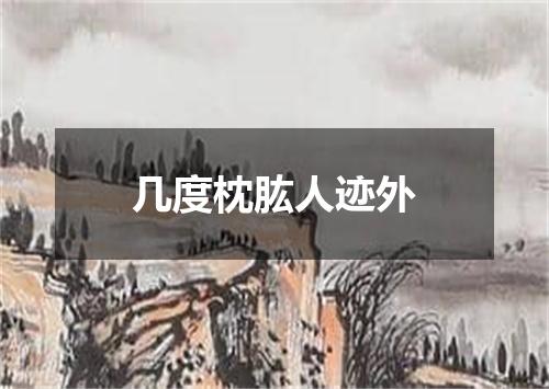 几度枕肱人迹外