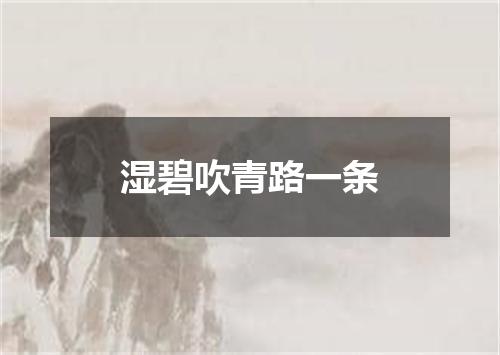 湿碧吹青路一条