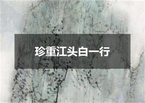 珍重江头白一行