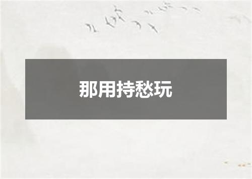那用持愁玩