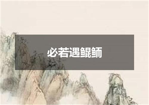 必若遇鲲鲕