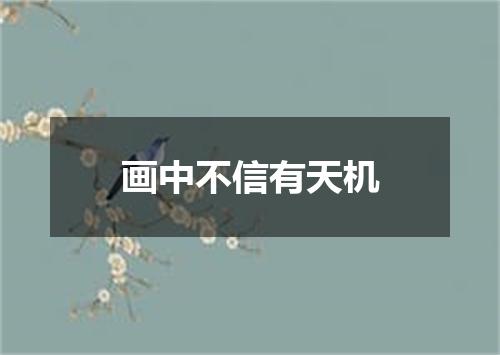画中不信有天机
