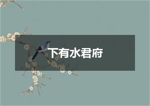 下有水君府
