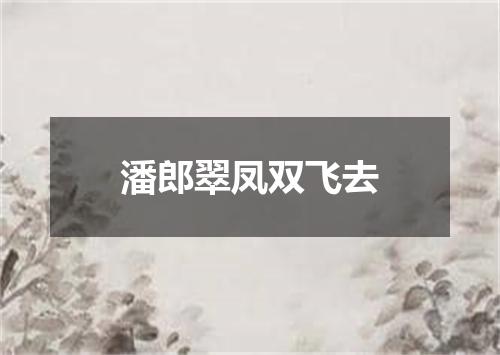 潘郎翠凤双飞去