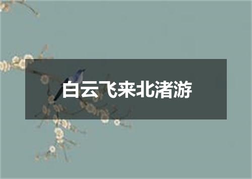 白云飞来北渚游