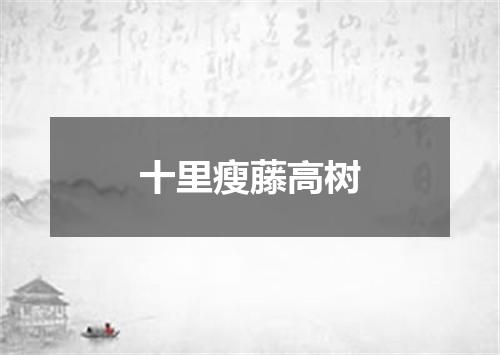 十里瘦藤高树