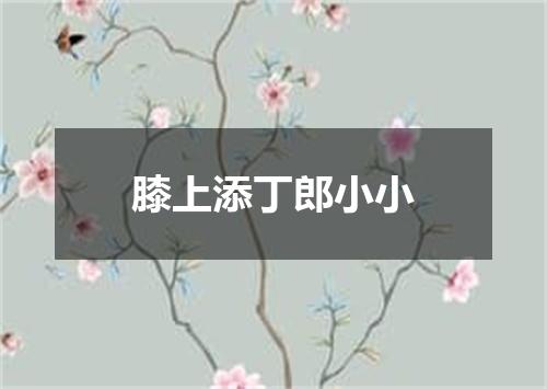 膝上添丁郎小小