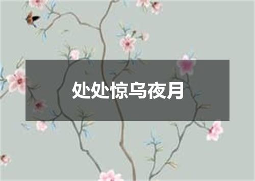 处处惊乌夜月