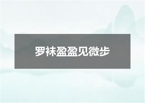 罗袜盈盈见微步