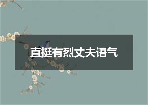直挺有烈丈夫语气