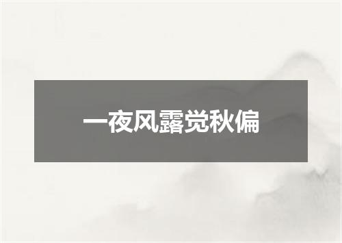 一夜风露觉秋偏
