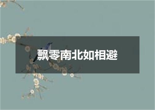 飘零南北如相避