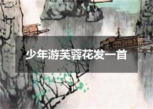少年游芙蓉花发一首