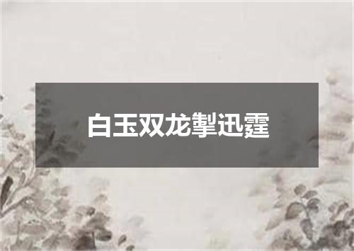 白玉双龙掣迅霆
