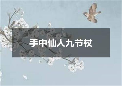 手中仙人九节杖