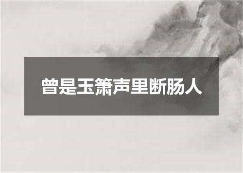 曾是玉箫声里断肠人