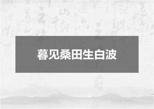 暮见桑田生白波