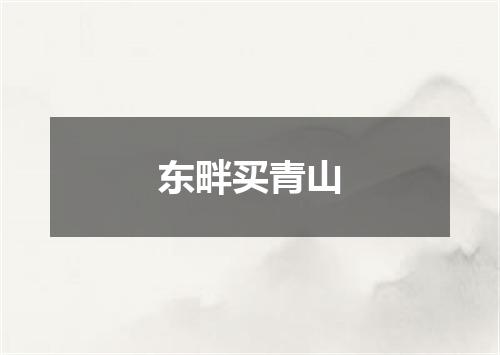 东畔买青山
