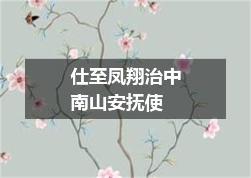 仕至凤翔治中南山安抚使