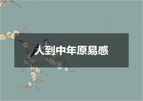 人到中年原易感