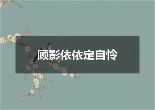 顾影依依定自怜