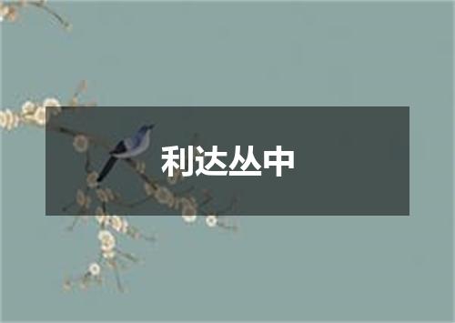利达丛中