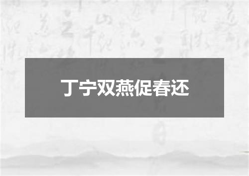 丁宁双燕促春还