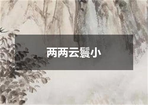 两两云鬟小