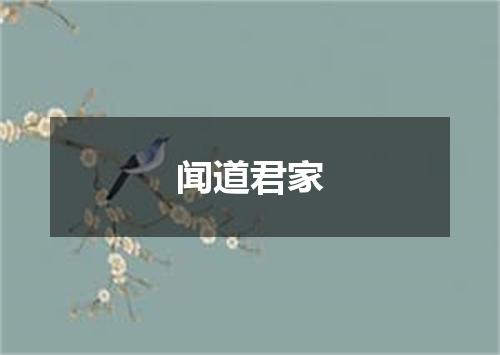 闻道君家