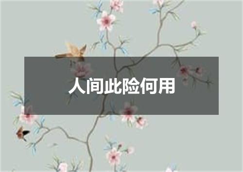 人间此险何用