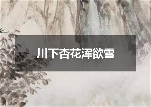 川下杏花浑欲雪