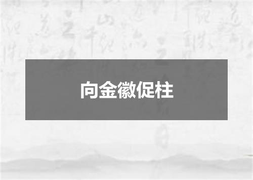向金徽促柱