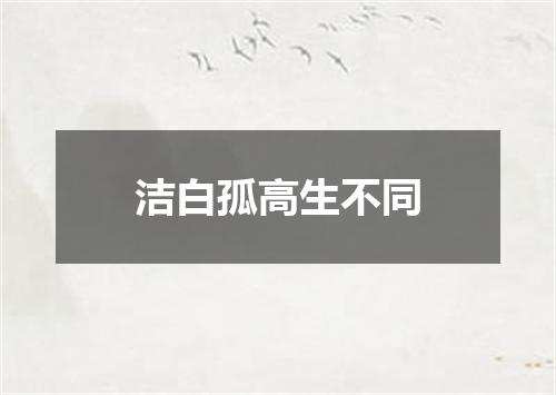 洁白孤高生不同