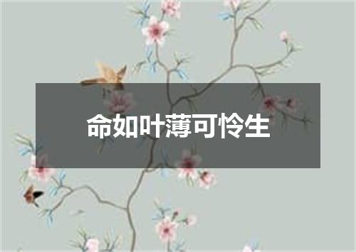 命如叶薄可怜生