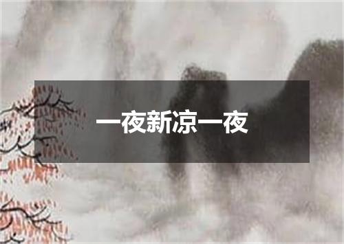 一夜新凉一夜