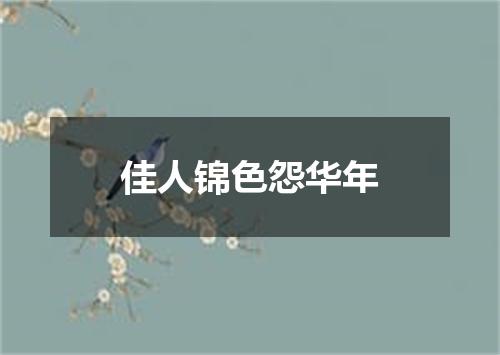 佳人锦色怨华年