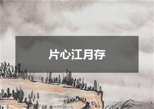 片心江月存