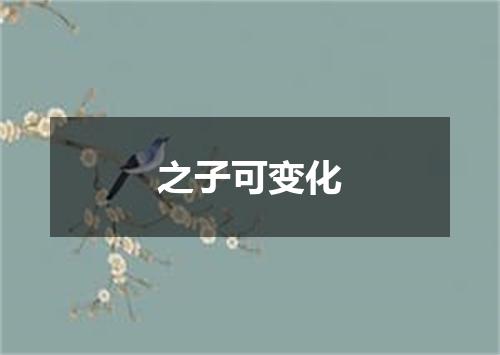 之子可变化