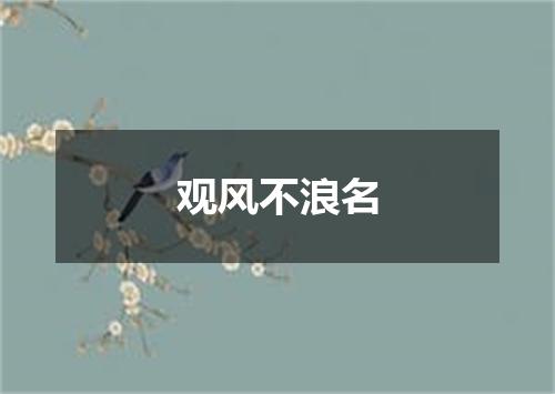 观风不浪名