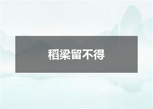 稻梁留不得