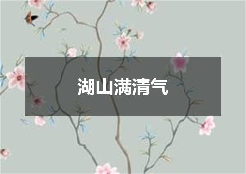 湖山满清气