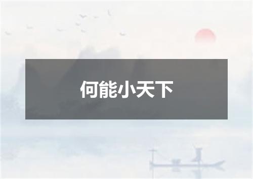 何能小天下