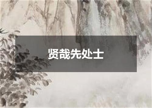 贤哉先处士