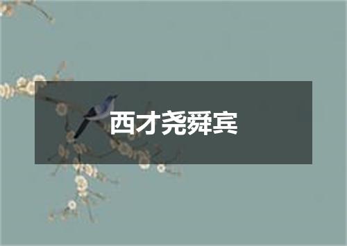 西才尧舜宾
