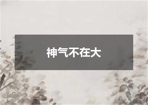 神气不在大
